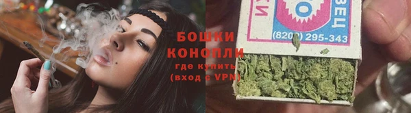 прущие грибы Балабаново