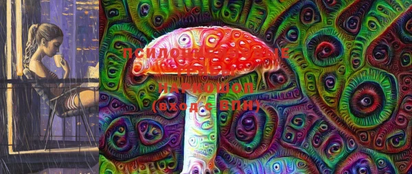 прущие грибы Балабаново