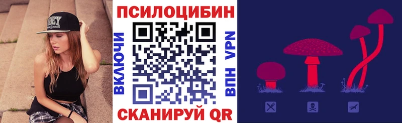 Псилоцибиновые грибы мицелий  Новая Ладога 
